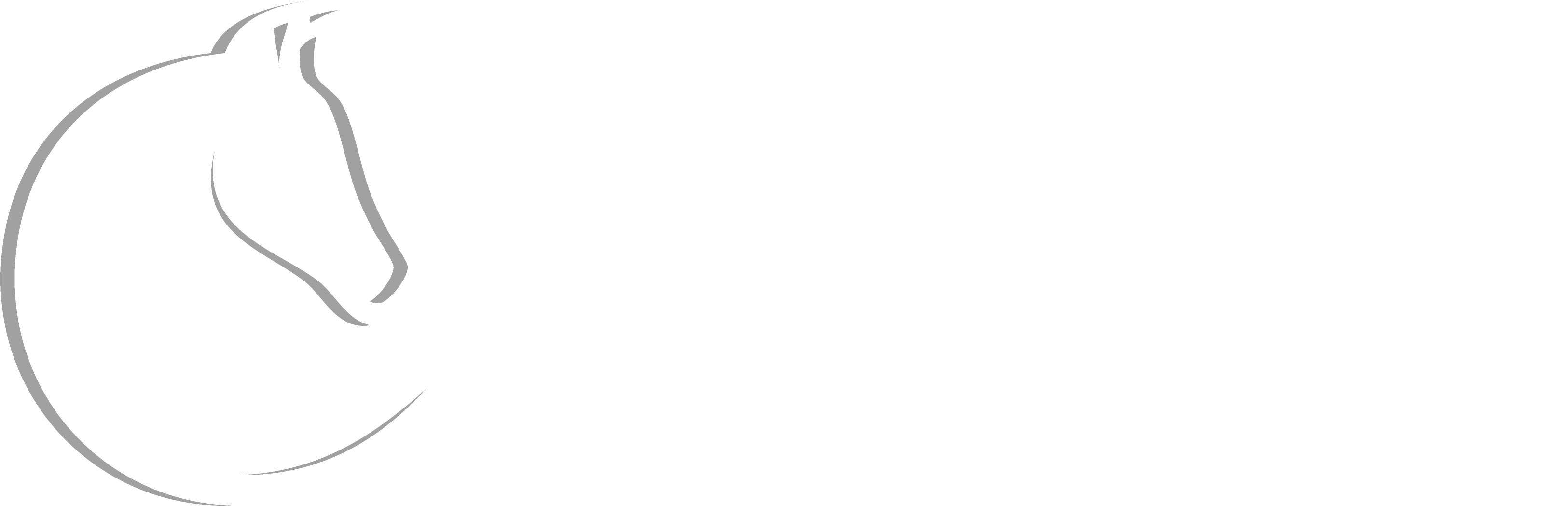 Chasque Email
